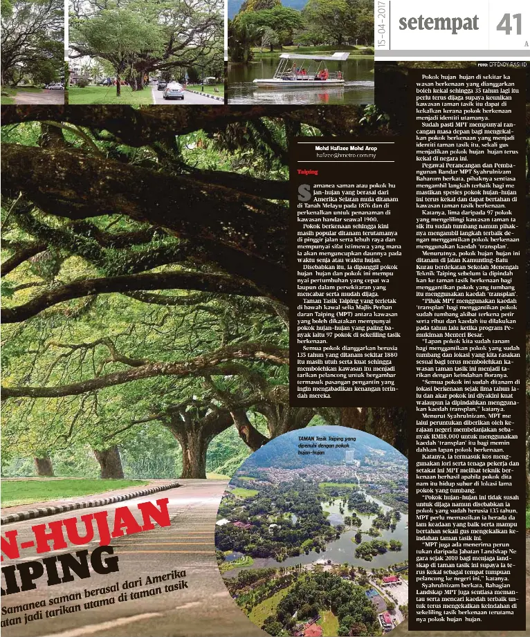  ?? FOTO: ?? TAMAN Tasik Taiping yang dipenuhi dengan pokok hujan-hujan.