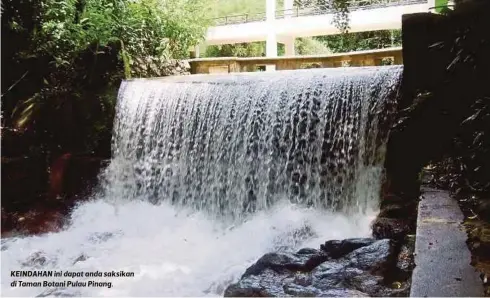  ??  ?? KEINDAHAN ini dapat anda saksikan di Taman Botani Pulau Pinang.