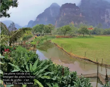  ??  ?? Une plaine rizicole d’où émergent des pitons rocheux troués de grottes : c’est la baie d’Ha Long terrestre.