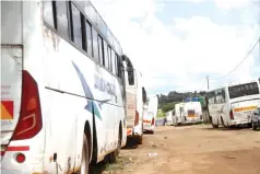  ?? ?? Zebra Kiss buses parked in the firm’s garage in Adbernnie, Harare, yesterday in compliance with the suspension by the Government.