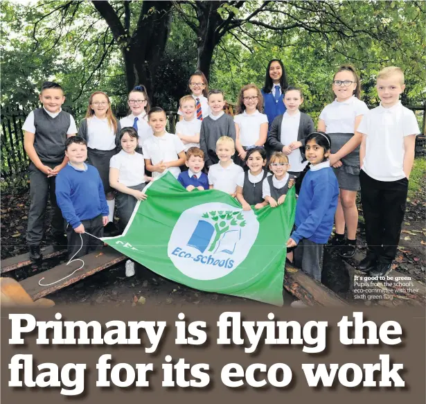  ??  ?? It’s good to be green Pupils from the school’s eco-committee with their sixth green flag