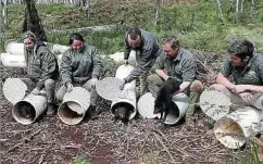  ??  ?? Die Mitarbeite­r von Aussie Ark haben die Tiere in die Freiheit entlassen.