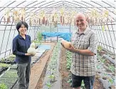  ??  ?? LEFT Atsue Durrant and her husband Cameron show off their squash crop in a greenhouse at Base Side Farm.