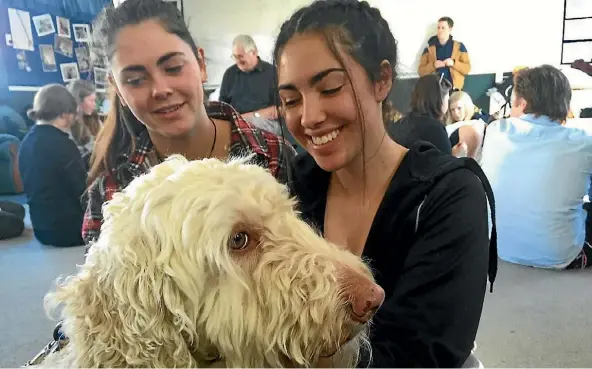  ??  ?? Kapiti College Year 12 students Samantha Swift and Nadia Moore with Honey the dog in the school’s room offering canine relaxation therapy.
