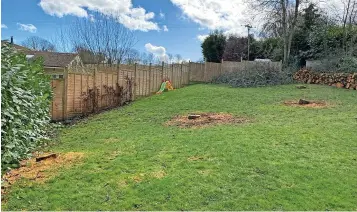  ?? Picture: Submitted ?? Three apple trees were felled in a Blockley garden