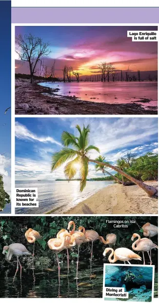  ??  ?? Dominican Republic is known for its beaches
Flamingos on Isla
Cabritos
Diving at Montecrist­i
Lago Enriquillo
is full of salt