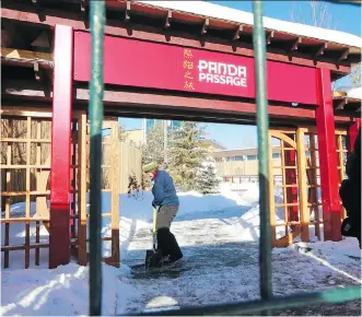  ?? GAVIN YOUNG ?? The $14-million Panda Passage at the zoo is ready for the arrival of its celebrity guests. The exhibit is set to open on May 7.