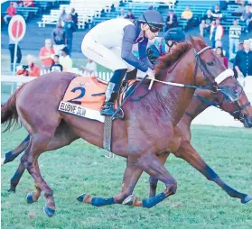  ??  ?? JULY-BOUND. Elusive Silva looks to have booked his place in the Vodacom Durban July after victory in the World Sports Betting 1900 at Greyville on Saturday.
