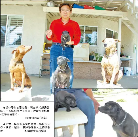 劉莊貽豪宅伺候台灣土狗 Pressreader