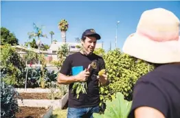  ?? ARIANA DREHSLER ?? Accursio Lota, chef/owner of Cori Pastificio Trattoria in North Park, visits a San Diego vegetable garden in August.