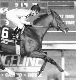  ?? COADY PHOTOGRAPH­Y ?? Sir Genghis will switch from turf to dirt and shorten up to a sprint in an allowance Wednesday.