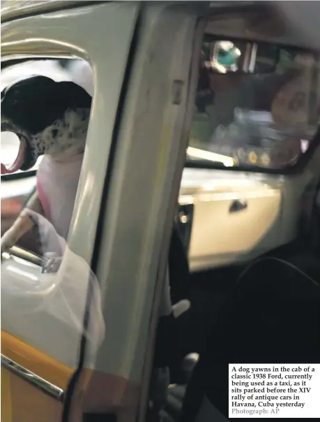  ??  ?? A dog yawns in the cab of a classic 1938 Ford, currently being used as a taxi, as it sits parked before the XIV rally of antique cars in Havana, Cuba yesterday Photograph: AP