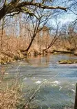  ?? Foto: Landratsam­t Neuburg Schrobenha­usen ?? Die Donau Auen rund um Neuburg und Ingolstadt könnten Nationalpa­rk werden.