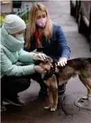  ?? AP ?? Anastasia Medvedeva (con gorro) organizó la adopción de animalitos.