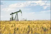  ?? CALMATTERS ?? An oil pump looms over crop of wheat in Bakersfiel­d in the Central Valley.