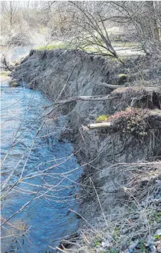  ?? FOTO: KARIN SCHÜTRUMPF ?? Die ausgehöhlt­e Böschung auf der Samletshof­ener Seite: Die Strömung schafft nach und nach einen neuen Uferverlau­f