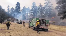  ??  ?? Dozens of firefighte­rs working for the U.S. Forest Service helped manage the prescribed burn in the Gila National Forest’s Black Range Ranger District earlier this month ahead of the busy wildfire season.