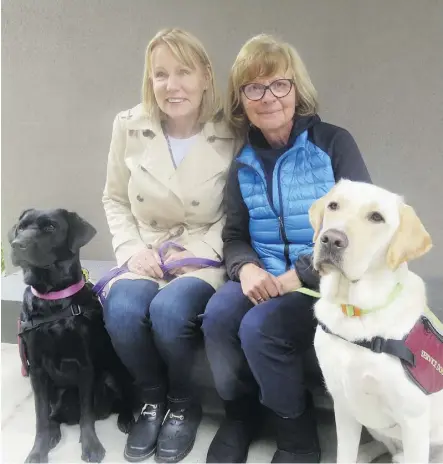  ?? NICK LEES ?? Maureen Mackay, left, and her partner in Aspen Service Dogs, Maria Illes, with their first two dogs — Zafi, a female black Lab, and Atrej, a male Lab.