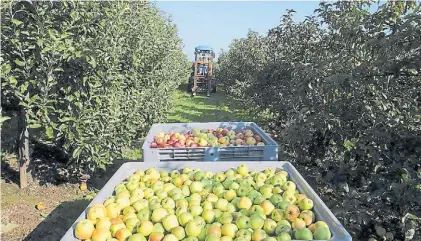  ??  ?? Sector estratégic­o. Para FMC el agro argentino es estratégic­o. La firma factura US$ 4.800 millones al año.