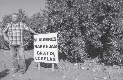  ?? Foto: Ángel García ?? José Cervera verschenkt seine Orangen lieber, statt sie vergammeln zu lassen.