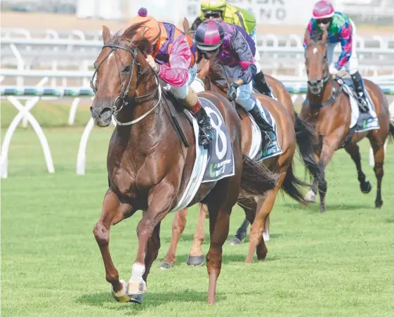  ?? Picture: TRACKSIDE PHOTOGRAPH­Y ?? It’s been a while since Too Good To Refuse posted his last win in the Listed Keith Noud Quality at Eagle Farm.