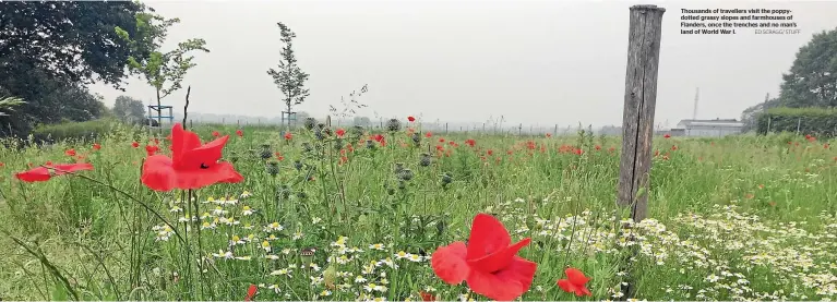  ?? ED SCRAGG/ STUFF ?? Thousands of travellers visit the poppydotte­d grassy slopes and farmhouses of Flanders, once the trenches and no man’s land of World War I.