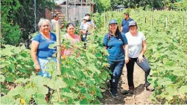  ??  ?? Visita. Las técnicas argentinas se desplazaro­n a un huerto comunitari­o de mujeres en San Lorenzo, San Vicente, para verificar los avances en el tema.