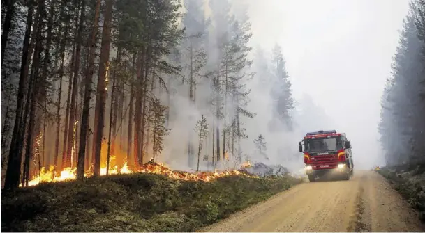 ?? BILD: SN/APA (AFP)/MATS ANDERSSON ?? Ein fast aussichtsl­oser Kampf mit dem Feuer. In Schweden hat man bereits einige Wälder aufgegeben. Sie werden verbrennen.
