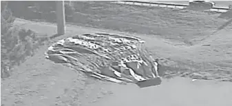  ?? WOFL- TV, FOX 35 ?? An image from video shows a deflated hot- air balloon after it made an unexpected landing into a retention pond inhabited by alligators near Disney World in Orlando.