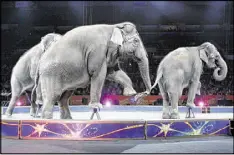  ?? BILL SIKES / ASSOCIATED PRESS 2016 ?? Above: Asian elephants perform for the final time in the Ringling Bros. and Barnum & Bailey Circus on May 1 of last year in Providence, R.I.