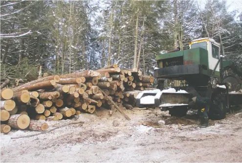  ?? WILDERNESS COMMITTEE ?? A logger examines his equipment at a work site in the Catchacoma Forest, which is governed under Ontario's Crown Forest Sustainabi­lity Act.
In this type of forest, loggers cut selected trees and protect the health of the forest during operations.