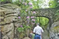  ?? STAFF FILE PHOTO ?? Rhododendr­ons are in bloom at Rock City during the 2015 Southern Blooms Festival in Lookout Mountain, Ga.