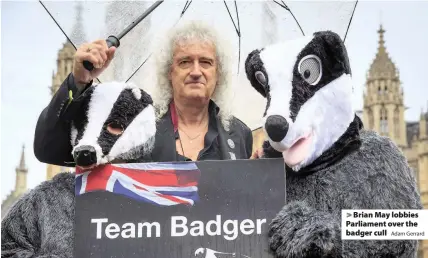 ?? Adam Gerrard ?? > Brian May lobbies Parliament over the badger cull