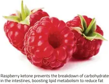  ??  ?? Raspberry ketone preven s the breakdown of carbohydra­tes in the intestines, boosting lipid metabolism to reduce fat storage in the body.