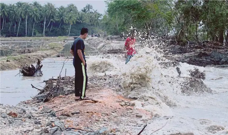  ??  ?? Dua penduduk melihat keadaan ombak yang kuat sehingga memecahkan benteng yang dibina bagi mengelakka­n air masin memasuki ke kawasan sawah di Kampung Sungai Meriam, Kedah.