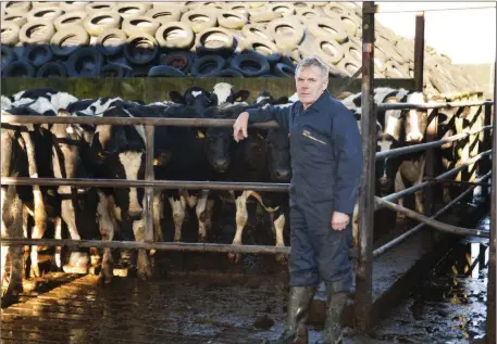  ??  ?? Gerald Quain, Chair of ICMSA Dairy Committee, on his farm.