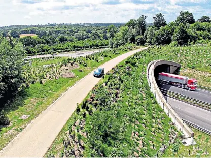  ??  ?? The green bridge is designed to help wildlife cross the A9.