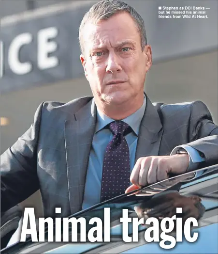  ??  ?? n Stephen as DCI Banks — but he missed his animal friends from Wild At Heart.