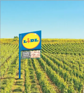  ??  ?? Sign of the times: Lidl has invested £12million in more than 50 French wines