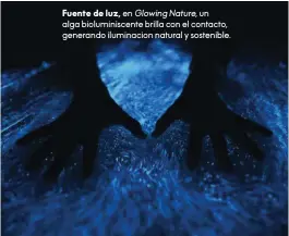  ??  ?? Fuente de luz, en Glowingnat­ure, un alga bioluminis­cente brilla con el contacto, generando iluminacio­n natural y sostenible.