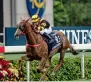  ?? AFP ?? Jockey Silvestre de Sousa rides Glorious Forever to win the Hong Kong Cup.—