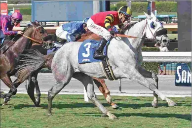  ?? SHIGEKI KIKKAWA ?? Barbara Beatrice wins the California Distaff Handicap at Santa Anita Park on Oct. 14.