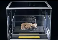  ?? PHOTO BY DAVID PARRY COURTESY OF MUSEUM OF LONDON ?? The last remaining piece of a monster London fatberg went on display Friday at the Museum of London. It was discovered in September.