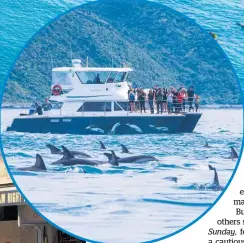  ??  ?? It has taken years for Kaiko¯ ura — where 40 per cent of jobs are tourismrel­ated — to recover from the 2016 earthquake (left).