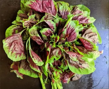  ?? Gretchen McKay/Post-Gazette ?? Callaloo is a colorful, leafy green also known as amaranth. Often used in Jamaican cooking, it can be found at the Bloomfield Saturday Market through September.