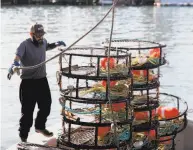  ?? Jessica Christian / The Chronicle 2019 ?? A fisherman secures his haul of crab traps at Pier 45 on Dec. 14, 2019, the first day of the last crab season.