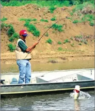  ??  ?? Pro bass angler Terry Bolton of Paducah, Ky., battles a high-jumping largemouth while fishing a run-out on the Arkansas River near Pendleton. Hawgs like this are common run-out catches.