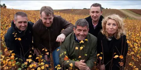  ??  ?? At the launch of the 2018-19 Planting Season under the National Forestry Programme were, from left: Lar Behan (Sales Manager); John Kavanagh (Nursery Manager); Minister Andrew Doyle TD; Teige Ryan (Sales Manager) and Breda Murphy (HR Manager).