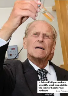  ?? Bernie Pettersen ?? > Prince Philip examines scientific work on a visit to the lobster hatchery at Padstow