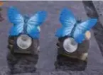  ?? FOTO RR ?? Al voor de tweede keer werden de vlinderbee­ldjes weggenomen van het graf van de zoon van Pierre en Mia.